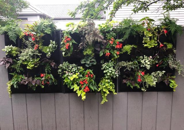 outdoor planter on fence