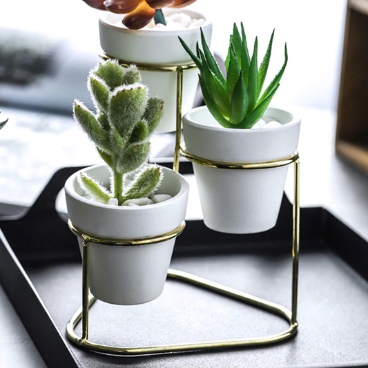 three plant pots held together by a gold frame 