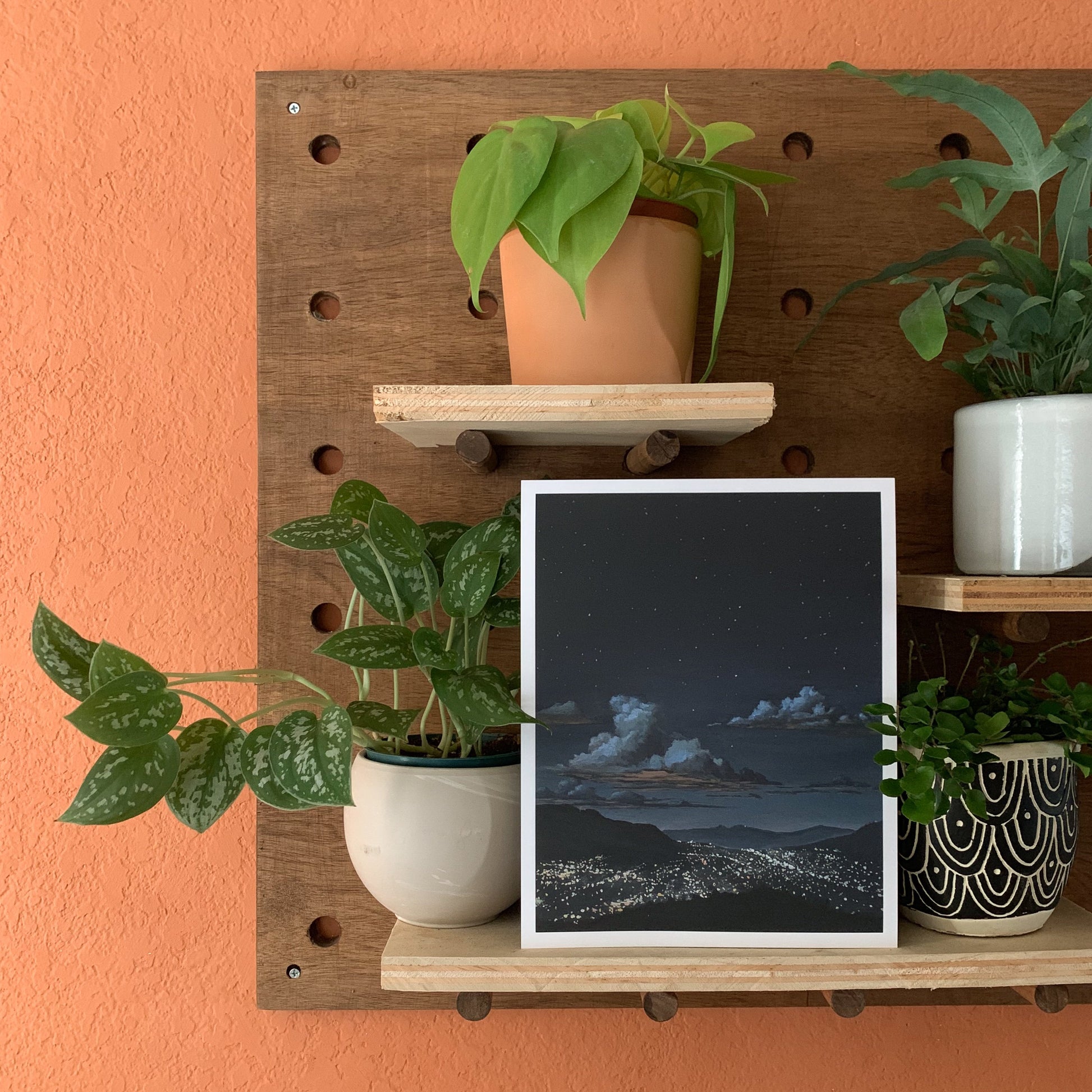 "La Canada Night Lights" Wall Art by Josue Salazar on a peg board surrounded by plants